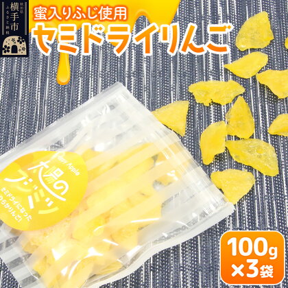 セミドライりんご「太陽のフジミツ」100g×3袋