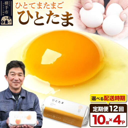 【ふるさと納税】【常温発送】《定期便12ヶ月》ひとたま 10個×4P【発送時期が選べる】東海林養鶏場 ひとたま 卵 玉子 たまご タマゴ12か月 12ヵ月 12カ月 12ケ月 卵 玉子 たまご 開始時期選べる 【ふるさと納税】【常温発送】《定期便12ヶ月》ひとたま 10個×4P【発送時期が選べる】東海林養鶏場 ひとたま 卵 玉子 たまご タマゴ12か月 12ヵ月 12カ月 12ケ月 卵 玉子 たまご 開始時期選べる