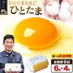 【ふるさと納税】【常温発送】《定期便9ヶ月》ひとたま 6個×4P【発送時期が選べる】東海林養鶏場 ひとたま 卵 玉子 たまご タマゴ 9か月 9ヵ月 9カ月 9ケ月 開始時期選べる