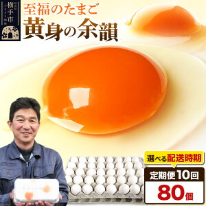 【ふるさと納税】【常温発送】《定期便10ヶ月》黄身の余韻 80個(業務用)【発送時期が選べる】東海林養鶏場 黄身の余韻 卵 玉子 たまご タマゴ 10か月 10ヵ月 10カ月 10ケ月 開始時期選べる