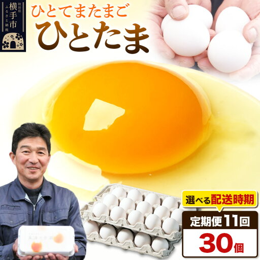 【ふるさと納税】【常温発送】《定期便11ヶ月》ひとたま 30個(業務用)【発送時期が選べる】東海林養鶏場 ひとたま 卵 玉子 たまご タマゴ 11か月 11ヵ月 11カ月 11ケ月 開始時期選べる 【ふるさと納税】【常温発送】《定期便11ヶ月》ひとたま 30個(業務用)【発送時期が選べる】東海林養鶏場 ひとたま 卵 玉子 たまご タマゴ 11か月 11ヵ月 11カ月 11ケ月 開始時期選べる