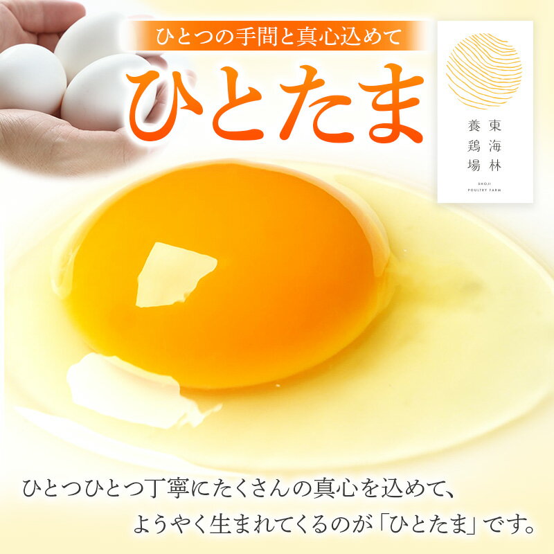 【ふるさと納税】【常温発送】《定期便6ヶ月》ひとたま 6個×4P【発送時期が選べる】東海林養鶏場 ひとたま 卵 玉子 たまご タマゴ 6か月 6ヵ月 6カ月 6ケ月 開始時期選べる