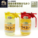 【ふるさと納税】国産自家採集はちみつ2種詰め合わせ(アカシア、トチ)計2本 600g