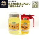 【ふるさと納税】国産自家採集はちみつ2種詰め合わせ(アカシア、トチ) 計2本 900g