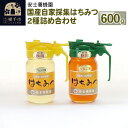 【ふるさと納税】国産自家採集はちみつ2種詰め合わせ(アカシア、りんご)計2本 600g