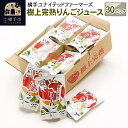 【ふるさと納税】樹上完熟りんごジュース 30パック
