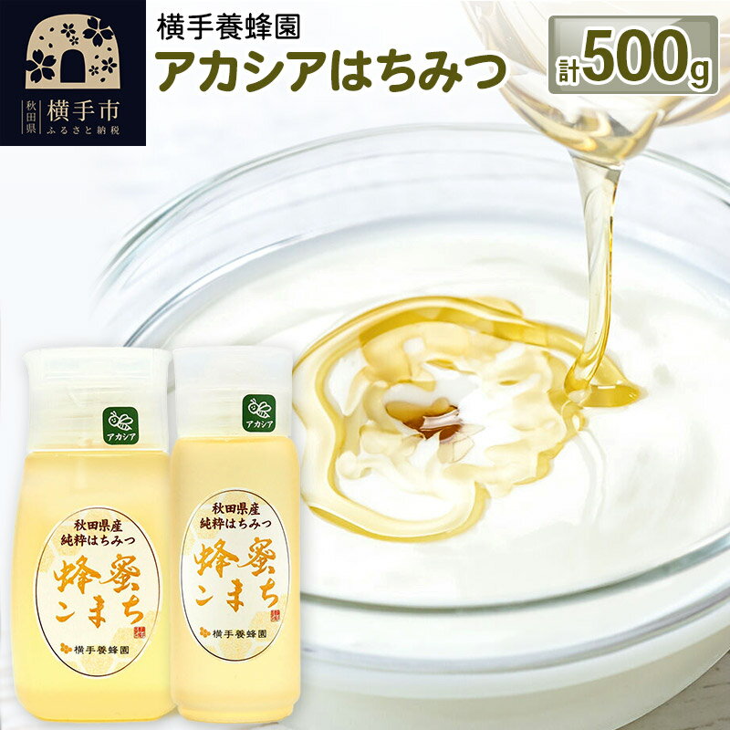 【ふるさと納税】アカシアはちみつボトル 計500g（300g