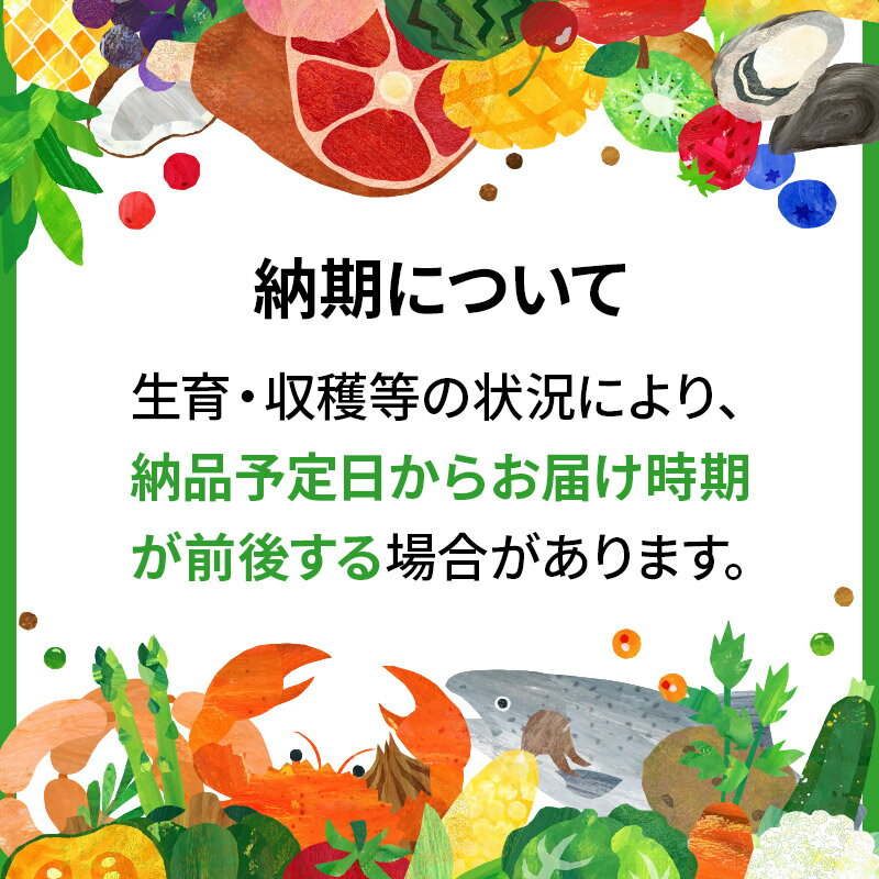 【ふるさと納税】横手市 さくらんぼ （草生栽培 佐藤錦） 約500g