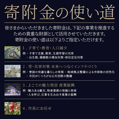 秋田県横手市 【ふるさと納税】トヤマフーズ 十文字中華そば 36人前 画像3