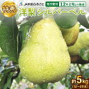 【ふるさと納税】洋ナシ(シルバーベル) 特秀 12玉〜20玉(約5kg)