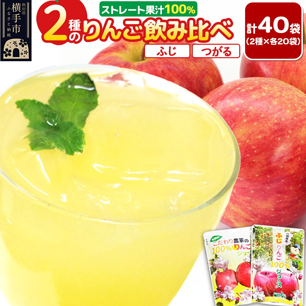 【ふるさと納税】2種のりんごジュース飲み比べセット（ふじ、つがる）合計40袋（2種×各20袋）