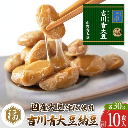 【ふるさと納税】二代目福治郎納豆 吉川青大豆納豆【中粒】5袋(1袋×2食入)計10食 【ふるさと納税】二代目福治郎納豆 吉川青大豆納豆【中粒】5袋(1袋×2食入)計10食