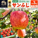 【ふるさと納税】【先行受付】12月中旬より発送 サンふじ【秀品】約3kg(7〜11玉)りんご 林檎(4)