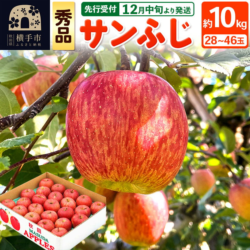 楽天市場】横手 サンふじの通販