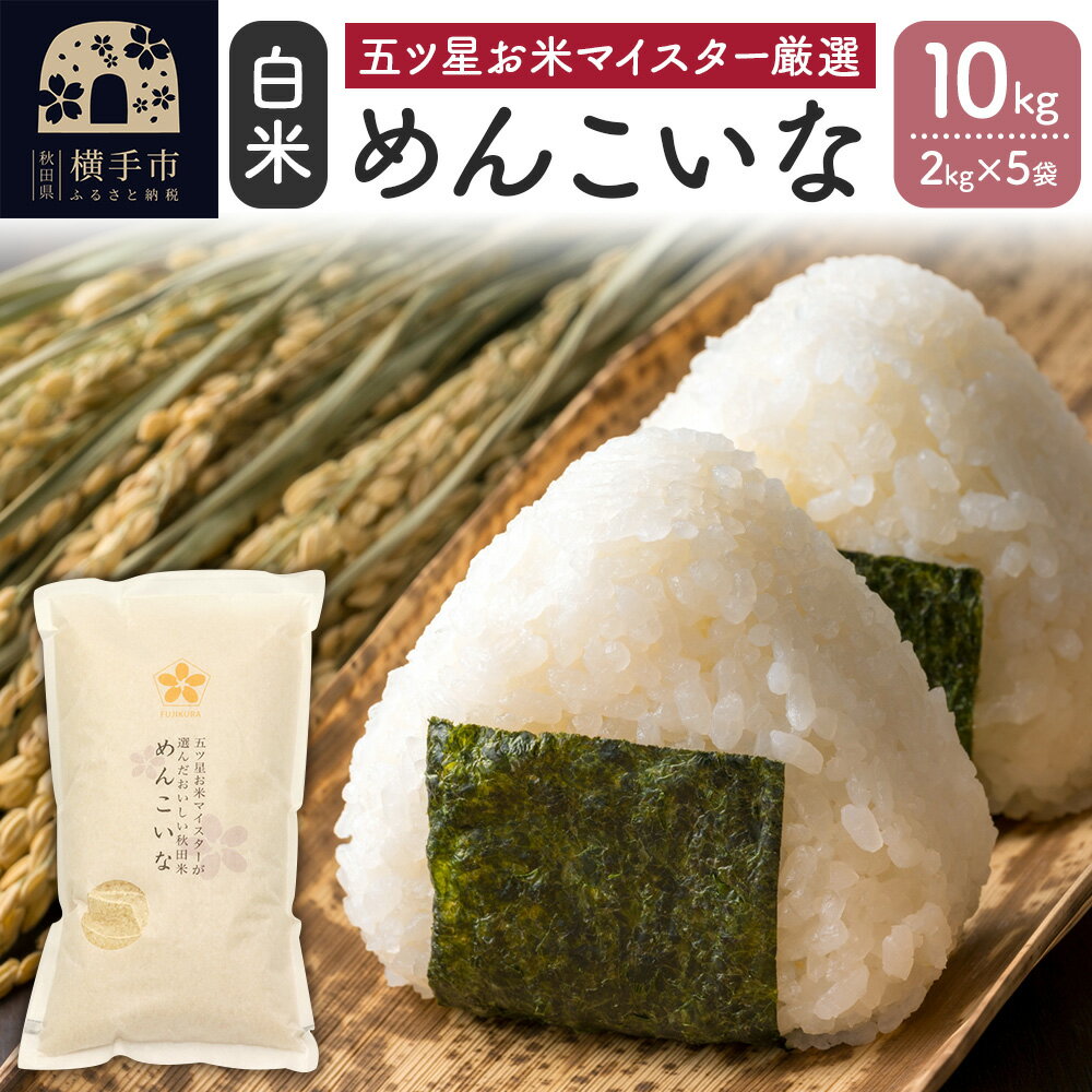 【ふるさと納税】【令和6年産新米】【白米】めんこいな 10kg(2kg×5袋)のサムネイル