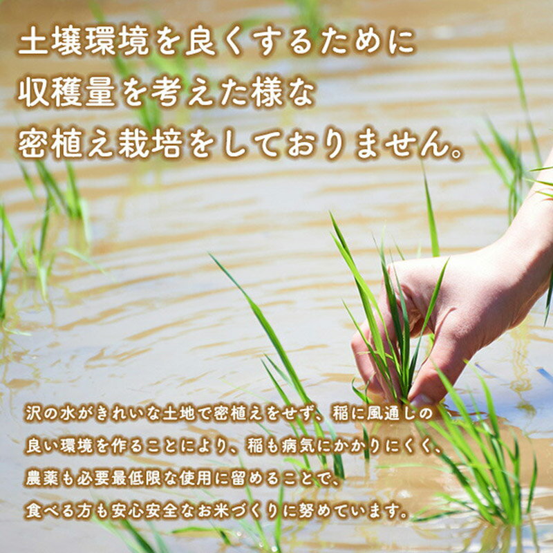 【ふるさと納税】あきたこまち【3分づき】定期便 3kg×1袋／5kg×1袋／10kg（5kg×2袋）／20kg（5kg×4袋）／27kg×1袋【選べる容量・お届け回数】