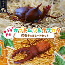 【ふるさと納税】カブトムシの成虫チョコレート&クワガタチョコレート 小松屋本店 プレゼント インスタ映え お菓子 スイーツ チョコ チョコレート ギフト