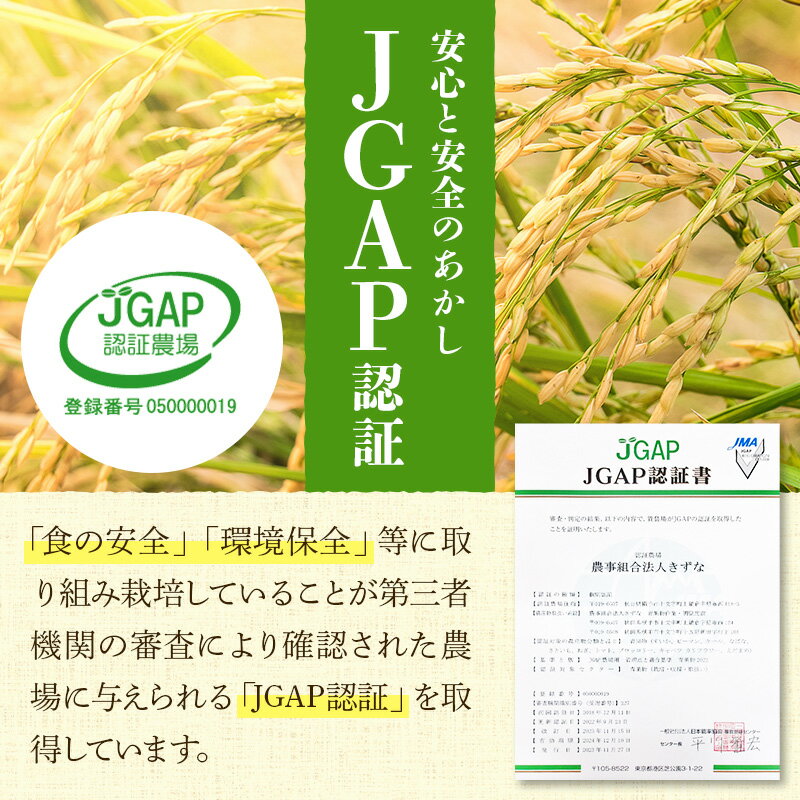 秋田県産 秋田産 淡雪こまち あわゆきこまち JGAP認証 秋田県特別栽培農産物認証　【ふるさと納税】【玄米】令和7年産 秋田県産 淡雪こまち 30kg(30kg×1袋) 【JGAP認証】【秋田県特別栽培農産物認証】