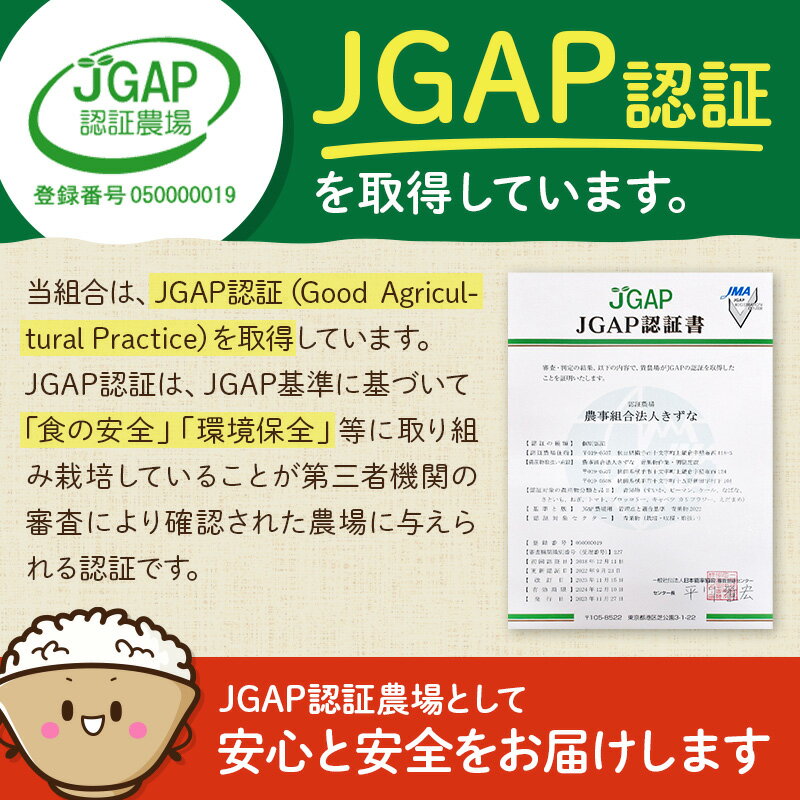 【ふるさと納税】【玄米】令和5年産 秋田県産 コシヒカリ 30kg(30kg×1袋) 【JGAP認証】【秋田県特別栽培農産物認証】