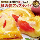 【ふるさと納税】紅の夢アップルパイ クレームパティシエール 450g(4~5人前)