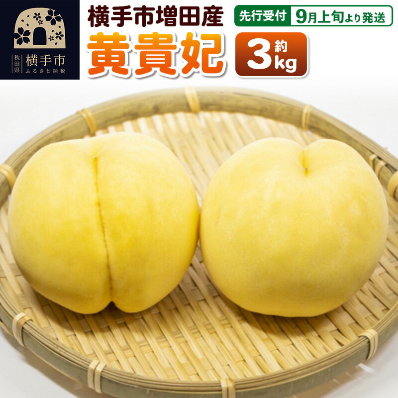 [先行受付]9月上旬より発送 横手市増田産の桃(黄貴妃)約3kg