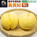 【ふるさと納税】【先行受付】9月上旬より発送 横手市増田産の桃(黄貴妃)約5kg