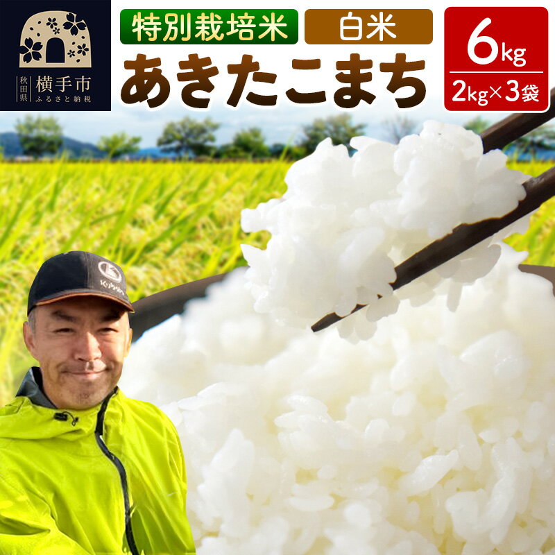 【ふるさと納税】秋田