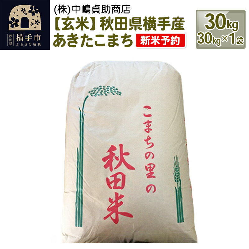 【ふるさと納税】【令和6年産新米予約】【玄米】秋田県横手産あきたこまち 30kg(30kg×1袋)のサムネイル