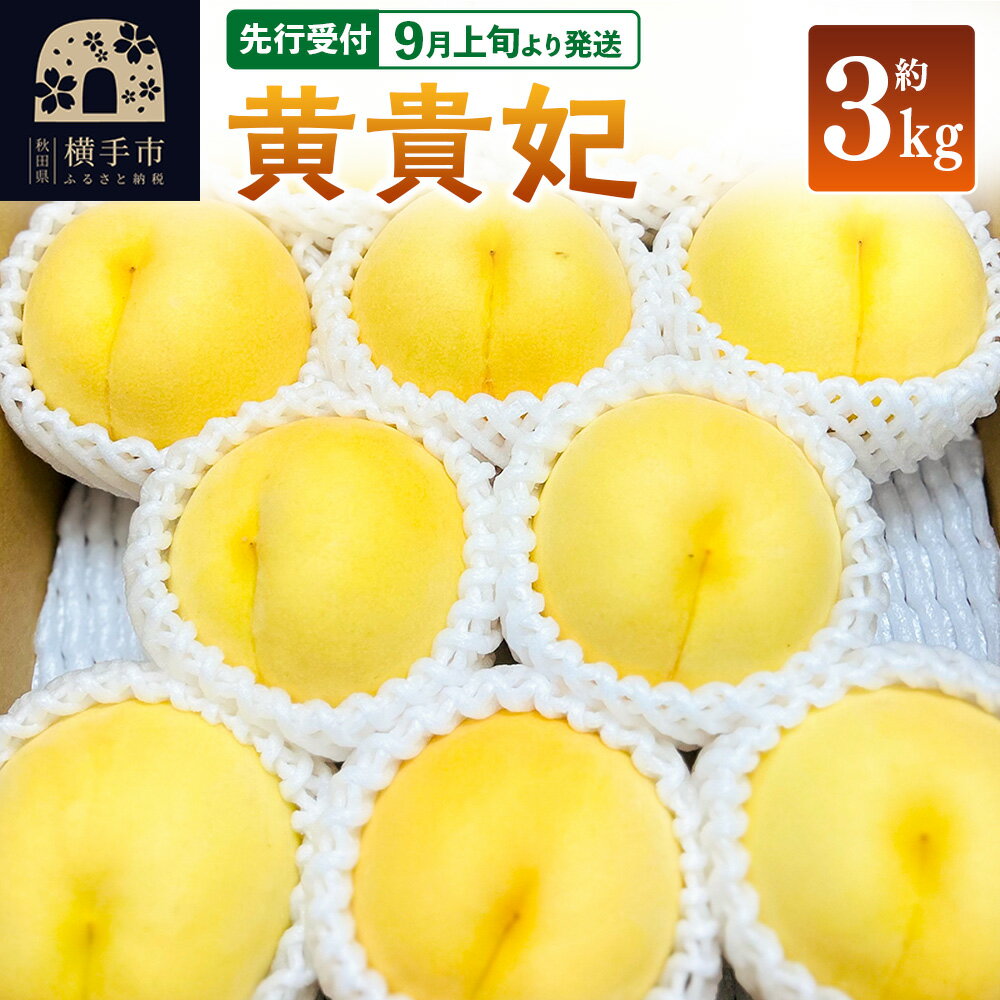 [先行受付]9月上旬より発送 黄貴妃 約3kg モモ もも 黄色桃