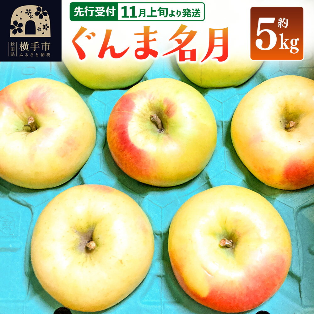 [先行受付]11月上旬より発送 ぐんま名月 約5kg りんご リンゴ 林檎