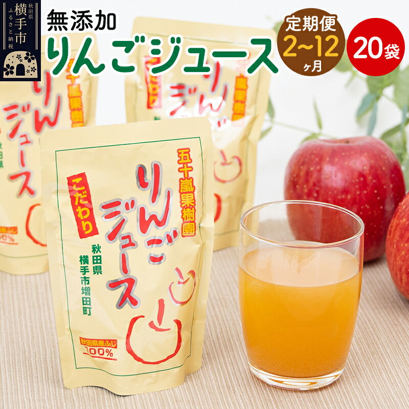 【ふるさと納税】《定期便2〜12ヶ月》無添加りんごジュース（サンふじ）20パック リンゴジュース