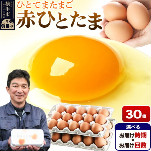 【ふるさと納税】【常温発送】赤ひとたま 30個(業務用)【選べる開始時期×お届け回数(定期便)】東海林養鶏場 赤ひとたま 卵 玉子 たまご タマゴ 配送時期選べる お届け回数選べる 定期便 【ふるさと納税】【常温発送】赤ひとたま 30個(業務用)【選べる開始時期×お届け回数(定期便)】東海林養鶏場 赤ひとたま 卵 玉子 たまご タマゴ 配送時期選べる お届け回数選べる 定期便