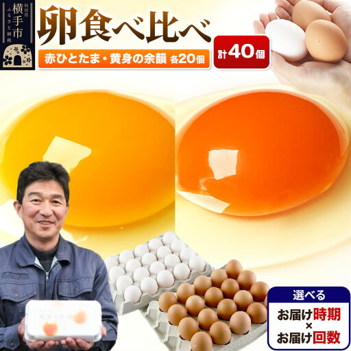 【ふるさと納税】【常温発送】赤ひとたま 20個・黄身の余韻 20個 計40個(業務用)【選べる開始時期×お届け回数(定期便)】東海林養鶏場 赤ひとたま 黄身の余韻 卵 玉子 たまご タマゴ 配送時期選べる お届け回数選べる 定期便 【ふるさと納税】【常温発送】赤ひとたま 20個・黄身の余韻 20個 計40個(業務用)【選べる開始時期×お届け回数(定期便)】東海林養鶏場 赤ひとたま 黄身の余韻 卵 玉子 たまご タマゴ 配送時期選べる お届け回数選べる 定期便