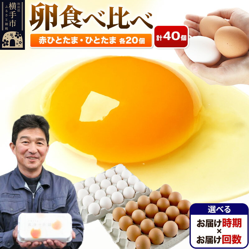 【ふるさと納税】赤ひとたま 20個・ひとたま 20個 計40個(業務用)【選べる開始時期×お届け回数(定期便)】東海林養鶏場 赤ひとたま ひとたま 卵 玉子 たまご タマゴ 配送時期選べる お届け回数選べる 定期便