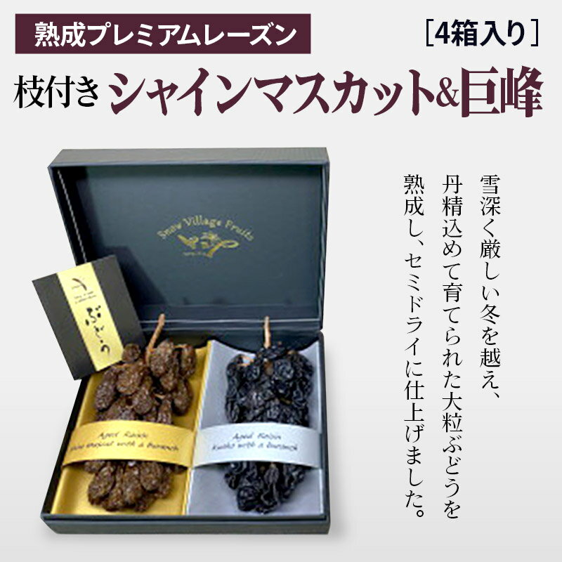 【ふるさと納税】熟成プレミアムレーズン 枝付きプレミアムセット（シャインマスカット＆巨峰） 4箱セット