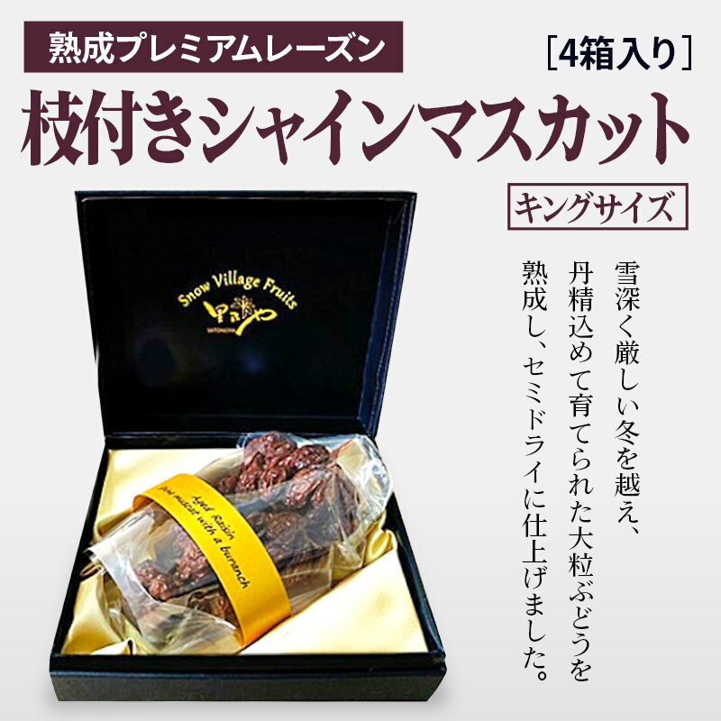 【ふるさと納税】熟成プレミアムレーズン 枝付きシャインマスカット キングサイズ 4箱セット