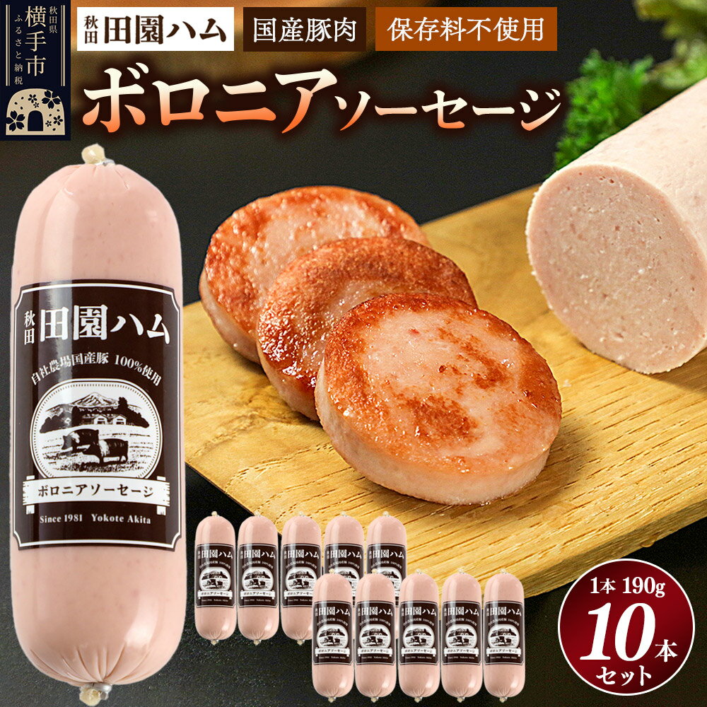 【ふるさと納税】田園ハム ボロニアソーセージ 190g×10本セット