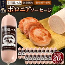 【ふるさと納税】田園ハム ボロニアソーセージ 190g×20本セット