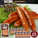 【ふるさと納税】田園ハム チョリソー 95g×10個セット