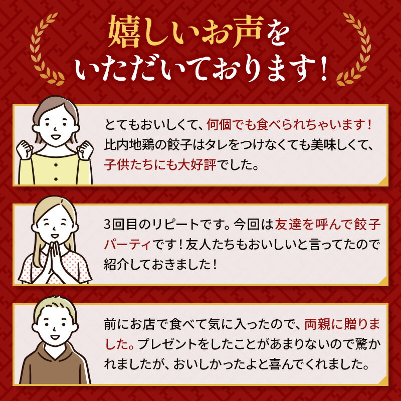 【ふるさと納税】比内地鶏餃子 12個入×10袋