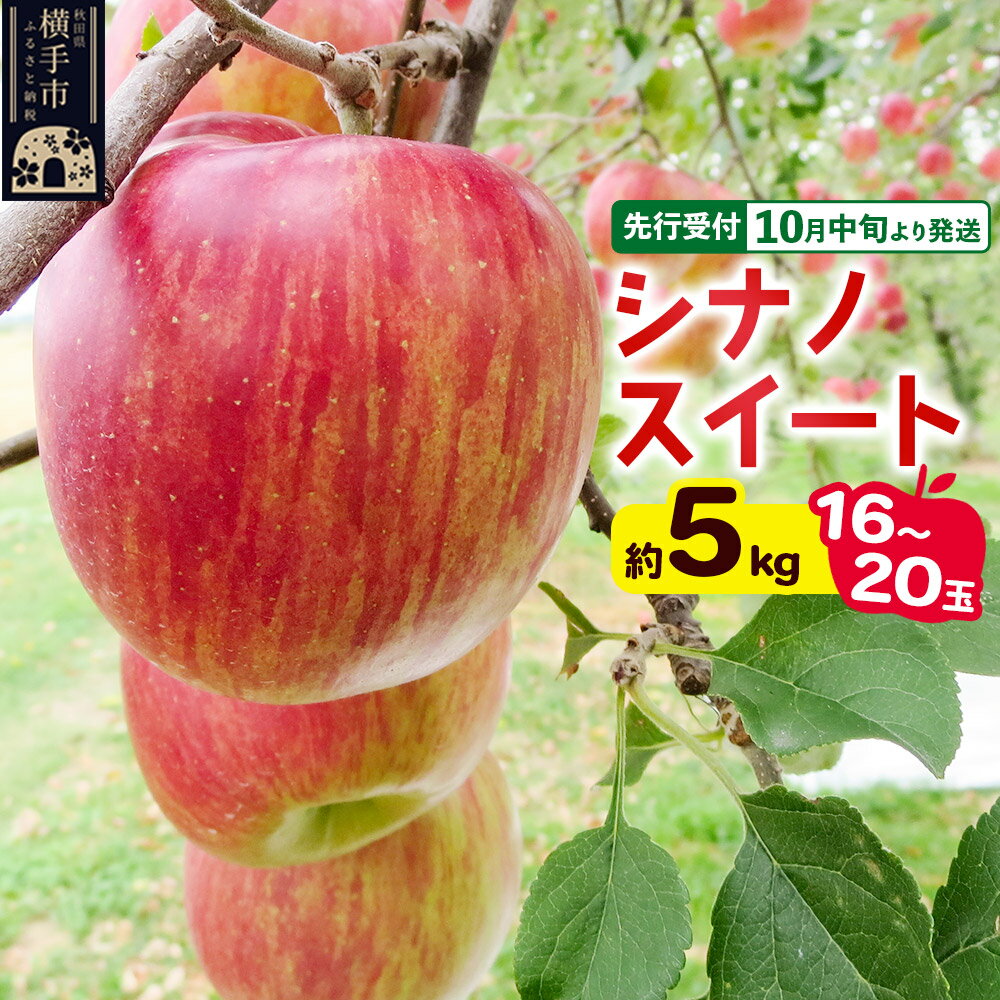 [先行受付]10月中旬より発送 シナノスイート約5kg(16〜20玉)りんご 秋田県横手市
