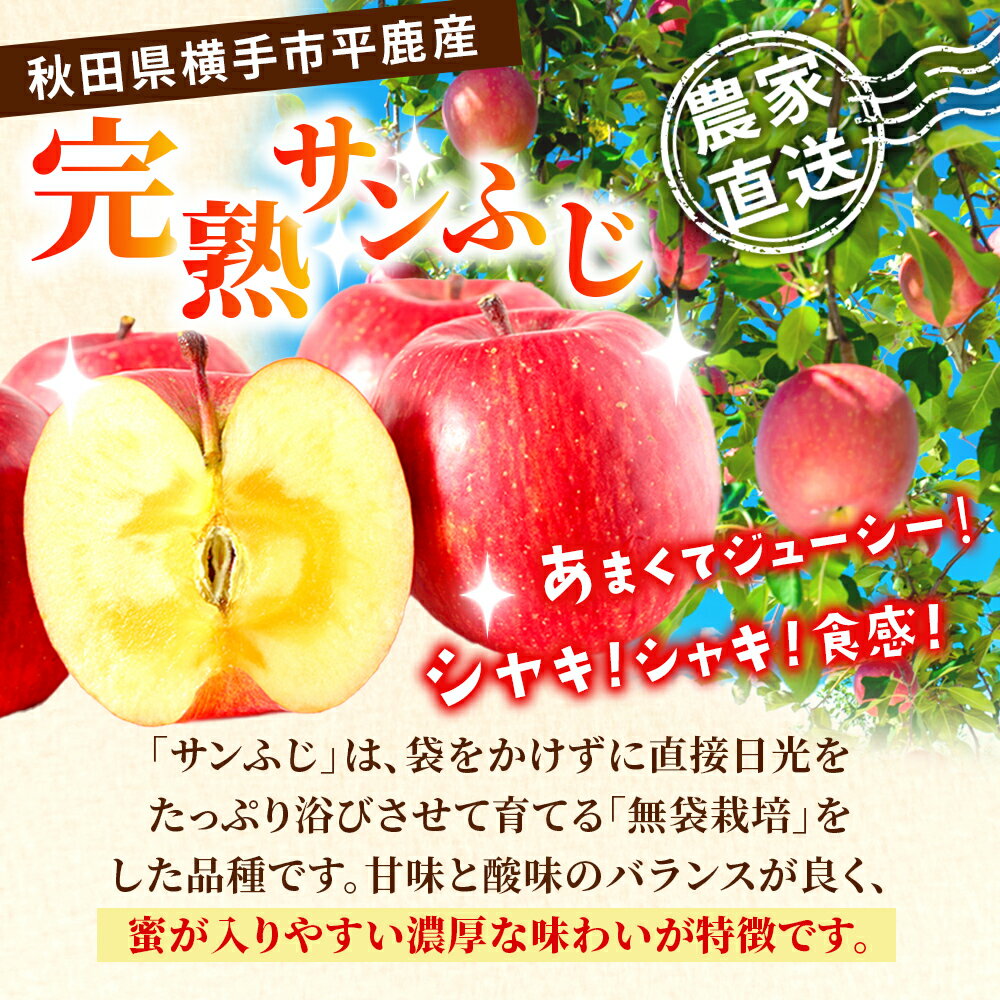【ふるさと納税】完熟サンふじ秀品 約10kg（32〜40個入）りんご