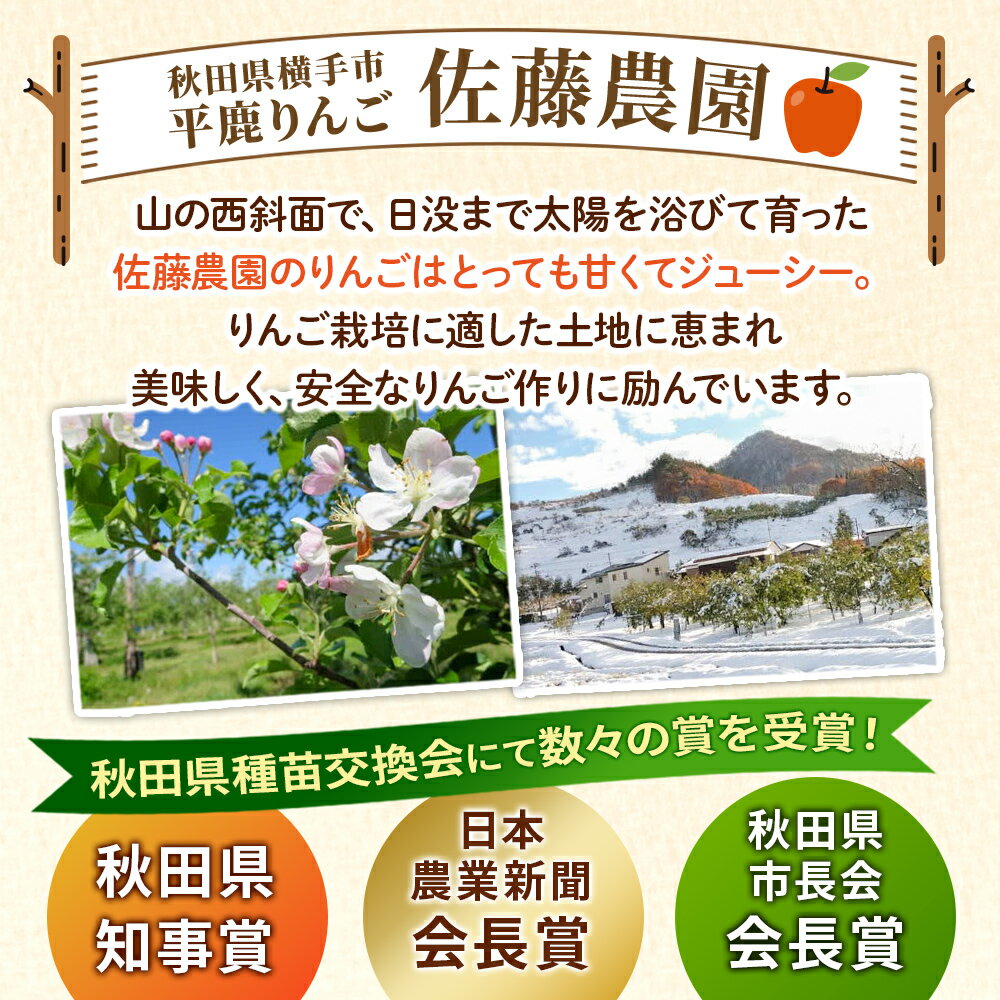【ふるさと納税】完熟サンふじ秀品 約10kg（32〜40個入）りんご