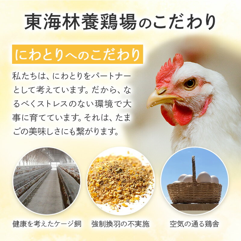 【ふるさと納税】【常温発送】赤ひとたま 40個（業務用）【選べる開始時期×お届け回数（定期便）】東海林養鶏場 赤ひとたま 卵 玉子 たまご タマゴ 配送時期選べる お届け回数選べる 定期便