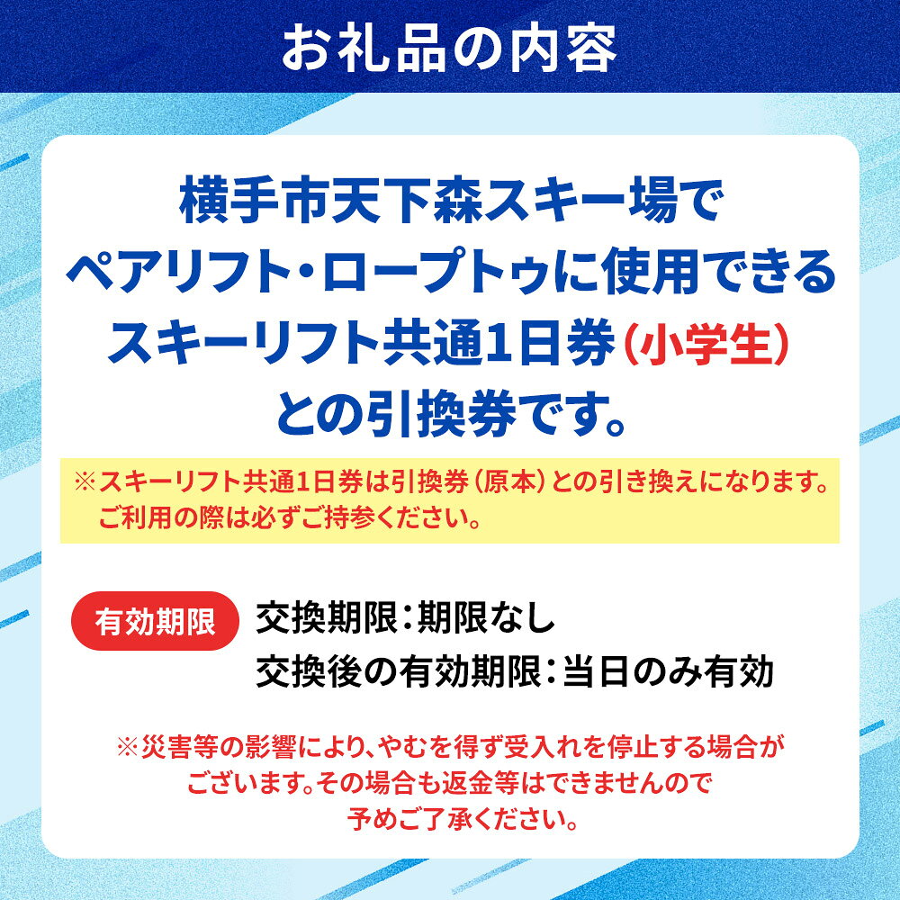 【ふるさと納税】横手市天下森スキー場 スキーリフト共通1日券（小学生）引換券 ゆうパケット