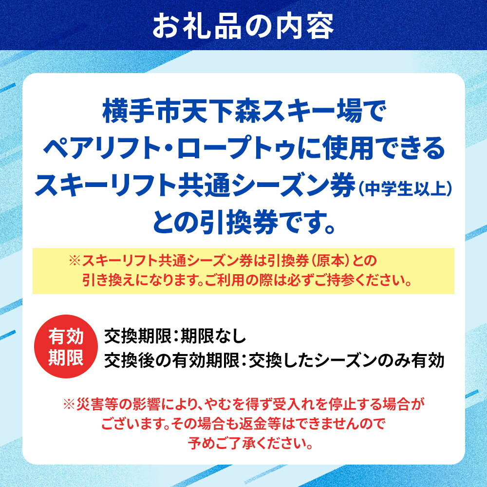 【ふるさと納税】横手市天下森スキー場 スキーリフト共通シーズン券（一般）引換券 ゆうパケット