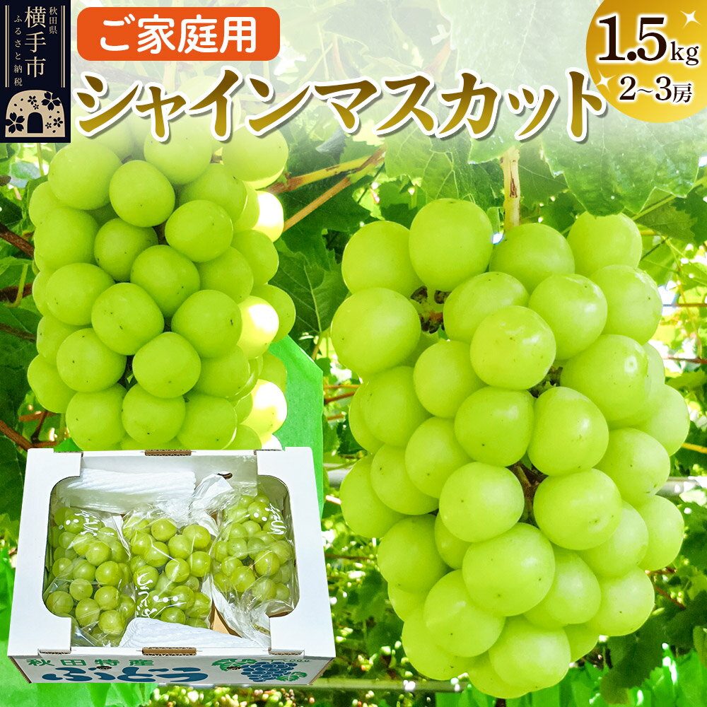 横手市産 シャインマスカット 約1.5kg(2〜3房)ご家庭用