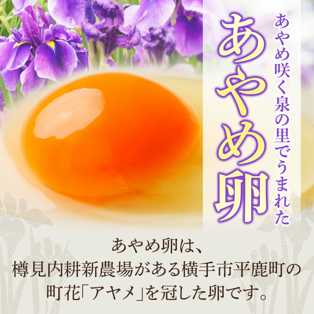 後藤もみじ平飼い有精卵20個