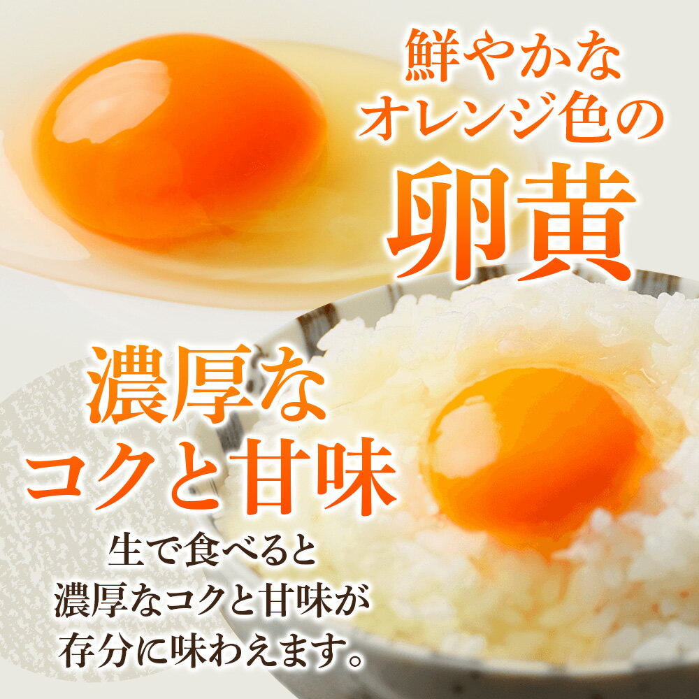 後藤もみじ平飼い有精卵20個