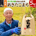 【ふるさと納税】《令和7年産》忠さん農園 作り手の顔が見えるお米 秋田県横手市産 あきたこまち 玄米 5kg
